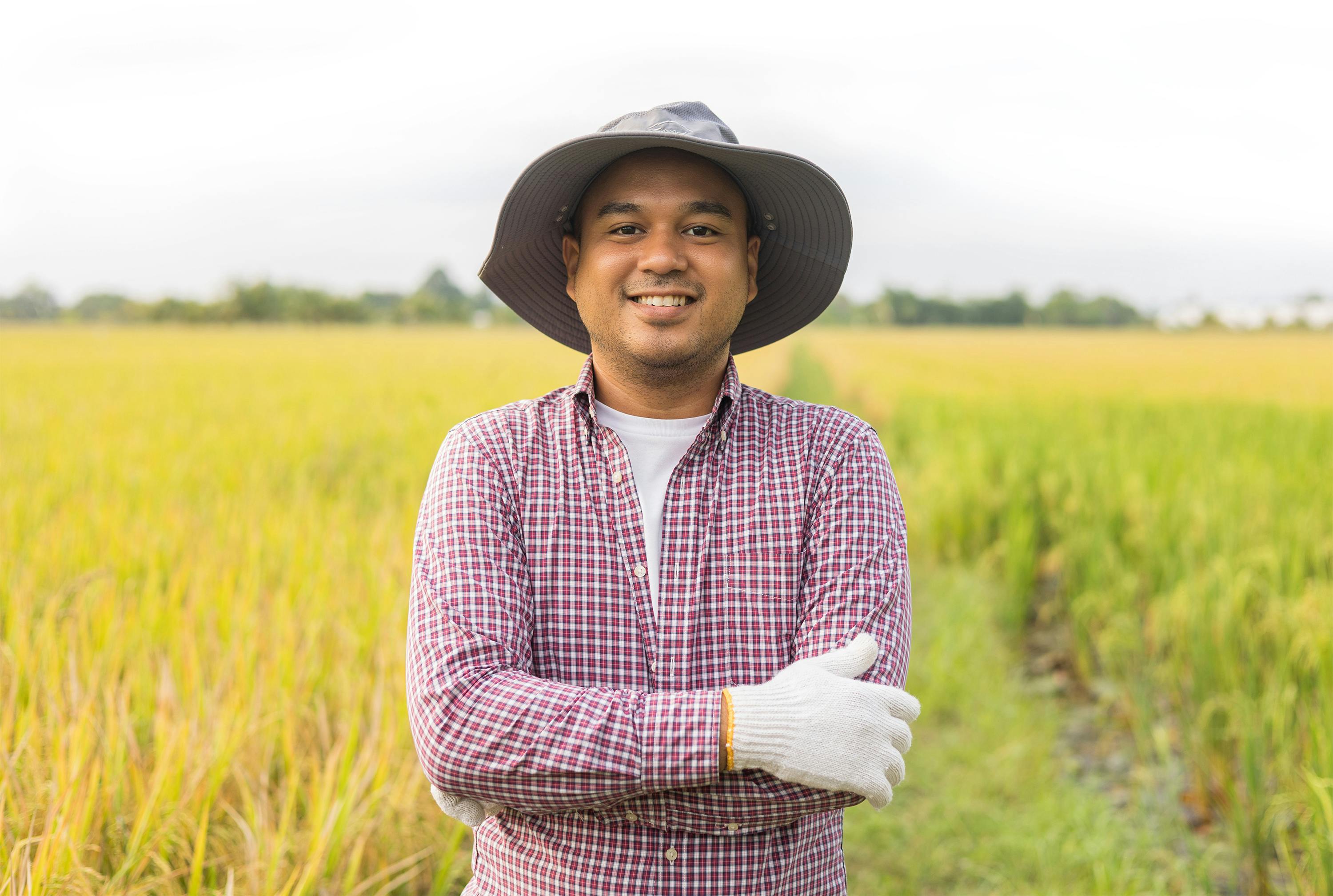A rice farmer leaning on a tool in a fields