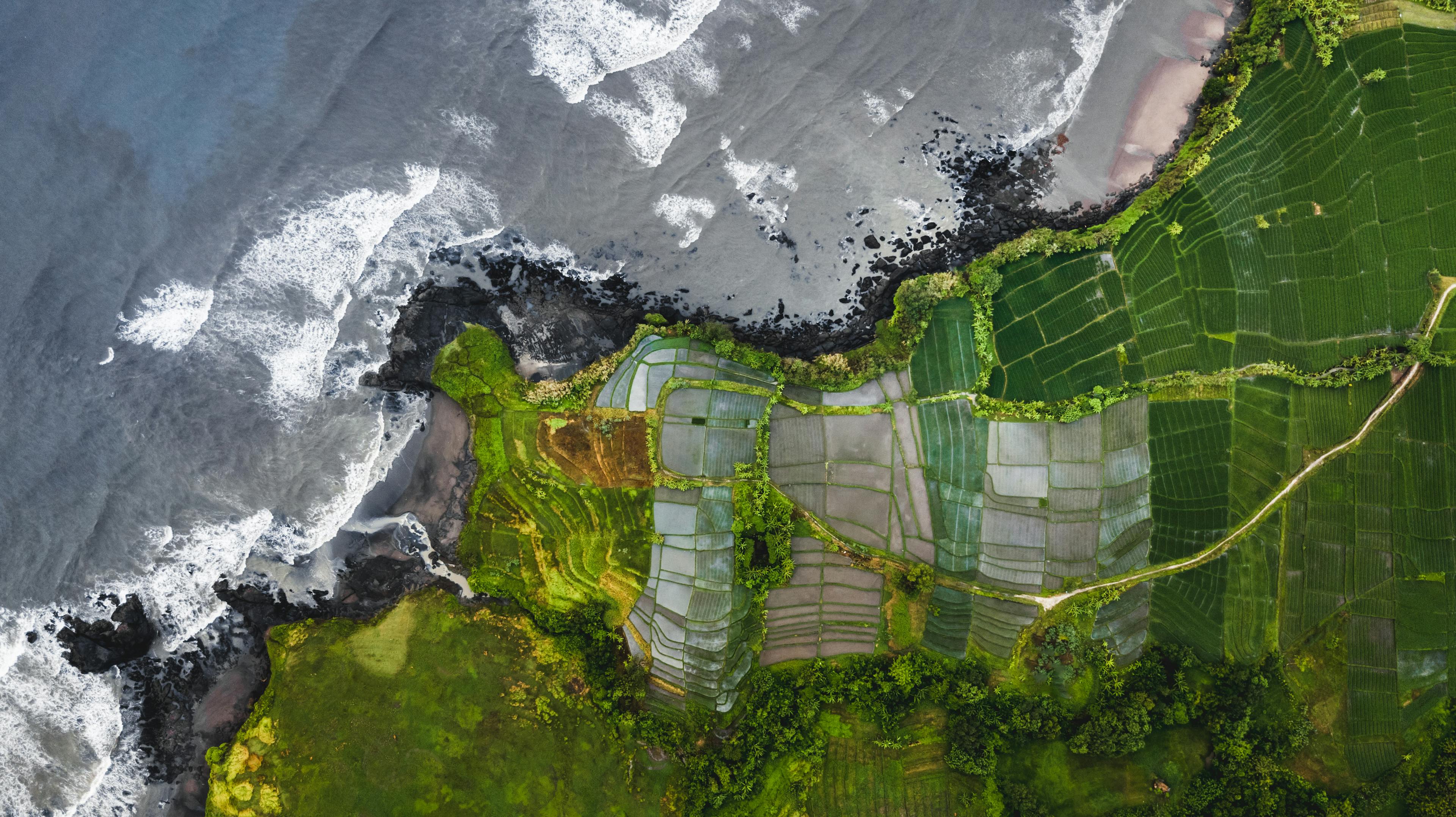 Satellite imagery of rice paddies