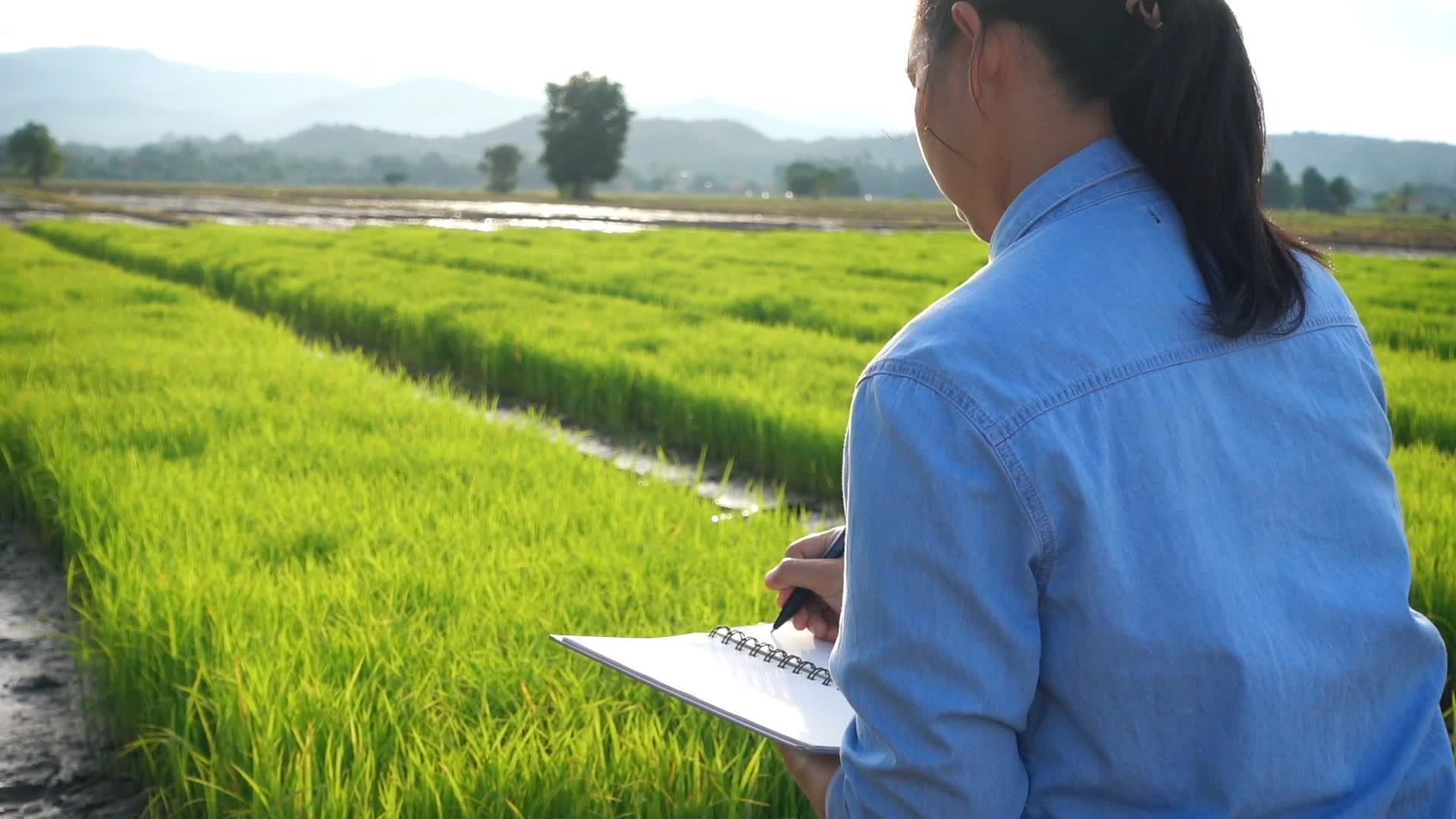 A women with a notebook looking at a farm